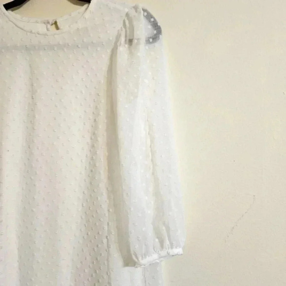 Calvin Klein Chiffon Overlay Dress NWOT - Picture 4 of 6